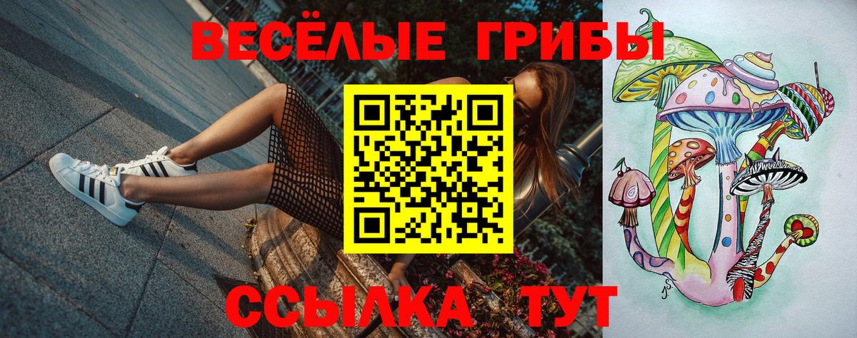 Галлюциногенные грибы MAGIC MUSHROOMS Горячий Ключ