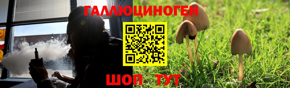 купить наркоту  Псилоцибиновые грибы Psilocybine cubensis  Псилоцибиновые грибы GOLDEN TEACHER  Вход с VPN  Горячий Ключ 